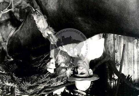 Original Document numérique not accessible