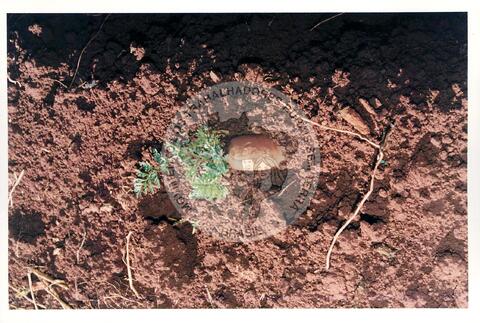 Original Objeto digital not accessible