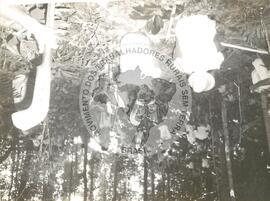 Ocupação Fazenda Seringal (Rondônia, 25 jun. 1989) [fotografia] / Fotógrafo(a) : Etelvina Mastoli. -- Ref.: BR-SPMST_MST-SN-CIN_AMP_001869-014163-OCU.