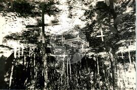 Violência (Mato Grosso do Sul, [sem data]) [fotografia] / Fotógrafo(a) : Arquivo MST. -- Ref.: BR-SPMST_MST-SN-CIN_AMP_001794-012985-VPP.