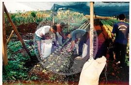 Tribunal Internacional dos Crimes do Latifúndio e da Política Governamental de Violação dos Direitos Humanos (Curitiba-PR, 02 mai. 2001) [fotografia] / Fotógrafo(a) : Douglas Mansur. -- Ref.: BR-SPMST_MST-SN-CIN_AMP_000135-001000-ACS.