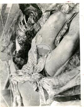 Velório, cortejo e enterro de vítimas do massacre de Eldorado dos Carajás (Brasil, [sem data]) [fotografia] / Fotógrafo(a) : Arquivo MST ; João Ripper. -- Ref.: BR-SPMST_MST-SN-CIN_AMP_001792-012973-VPP.