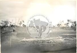 Assentamento "1º de Abril" do MST (São Paulo (Estado), [sem data]) [fotografia] / Fotógrafo(a) : Arquivo MST. -- Ref.: BR-SPMST_MST-SN-CIN_AMP_000350-001680-ASS.