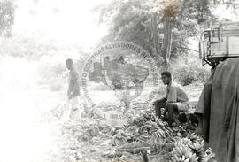 Província de Bengo (Angola, [sem data]) [fotografia] / Fotógrafo(a) : Arquivo MST. -- Ref.: BR-SPMST_MST-SN-CIN_AMP_001098-008995-RIT.