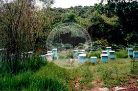 Inauguração da Rádio Comunitária (Itapeva-SP, 28 nov. 2008) [fotografia] / Fotógrafo(a) : Cláudio Foschieira. -- Ref.: BR-SPMST_MST-SN-CIN_AMP_000695-004049-ARV.