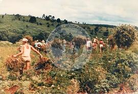 Assentamento do MST [sem identicação] (Dionísio Cerqueira-SC, set. 1995) [fotografia] / Fotógrafo(a) : Débora Lerrer. -- Ref.: BR-SPMST_MST-SN-CIN_AMP_000195-001412-ASS.