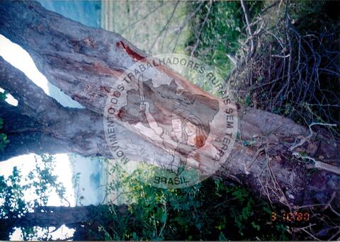 Original Objeto digital not accessible