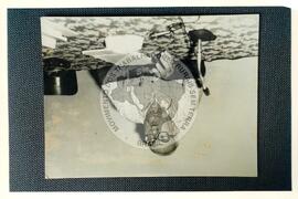 Manoel Correia de Andrade [professor] (Brasil, [sem data]) [fotografia] / Fotógrafo(a) : Douglas Mansur ; Arquivo MST-PE. -- Ref.: BR-SPMST_MST-SN-CIN_AMP_001629-012446-PER.