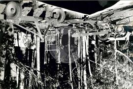 Produção de acampament0 (Rio Grande do Sul, [sem data]) [fotografia] / Fotógrafo(a) : Assis Hofman ; J. Ribber ; Arquivo MST. -- Ref.: BR-SPMST_MST-SN-CIN_AMP_001983-015193-PDU.