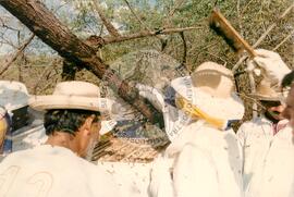 Cooperativas (Ceará, [sem data]) [fotografia] / Fotógrafo(a) : Arquivo MST. -- Ref.: BR-SPMST_MST-SN-CIN_AMP_001979-015177-PDU.
