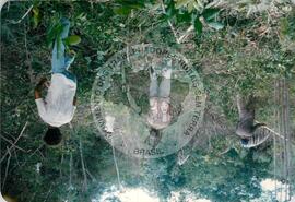 Produção no assentamento (Espírito Santo, fev. 1988) [fotografia] / Fotógrafo(a) : [sem autoria]. -- Ref.: BR-SPMST_MST-SN-CIN_AMP_001971-015103-PDU.