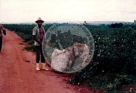Assentamento do MST [sem identificação] (Pontal de Parapanema-SP, [sem data]) [fotografia] / Fotógrafo(a) : Arquivo MST. -- Ref.: BR-SPMST_MST-SN-CIN_AMP_000355-001701-ASS.