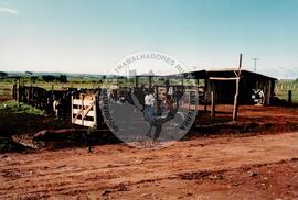 Assentamento "Fazenda Santa Clara" do MST (Pontal de Parapanema-SP, 1997) [fotografia] / Fotógrafo(a) : Douglas Mansur. -- Ref.: BR-SPMST_MST-SN-CIN_AMP_000348-001662-ASS.