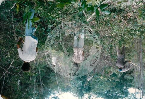 Original Objeto digital not accessible