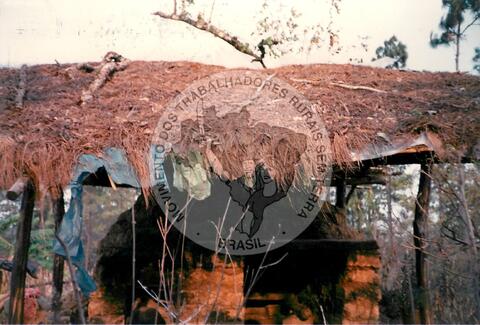 Original Document numérique not accessible