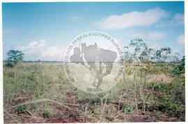 Intercâmbio com a UNAC (Moçambique, ago. 2000) [fotografia] / Fotógrafo(a) : Arquivo MST. -- Ref.: BR-SPMST_MST-SN-CIN_AMP_001093-008883-RIT.