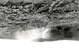 Assentamento "Fazenda Georgina" do MST (São Mateus-ES, nov. 1986) [fotografia] / Fotógrafo(a) : Maria de Fátima Ribeiro. -- Ref.: BR-SPMST_MST-SN-CIN_AMP_000324-001571-ASS.