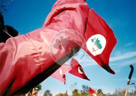 Assentamento "Tamarana" do MST (Paraná, [sem data]) [fotografia] / Fotógrafo(a) : Maria Luísa Mendonça. -- Ref.: BR-SPMST_MST-SN-CIN_AMP_000171-001199-ASS.