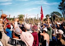 Assentamento "Cobrinco" do MST (Rondônia, 25 abr. 2000) [fotografia] / Fotógrafo(a) : [sem autoria]. -- Ref.: BR-SPMST_MST-SN-CIN_AMP_000172-001234-ASS.
