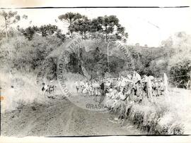 Assentamento do MST [sem identificação] (Santa Catarina, [sem data]) [fotografia] / Fotógrafo(a) : Arquivo MST ; Cristiane Tramonte. -- Ref.: BR-SPMST_MST-SN-CIN_AMP_000198-001426-ASS.