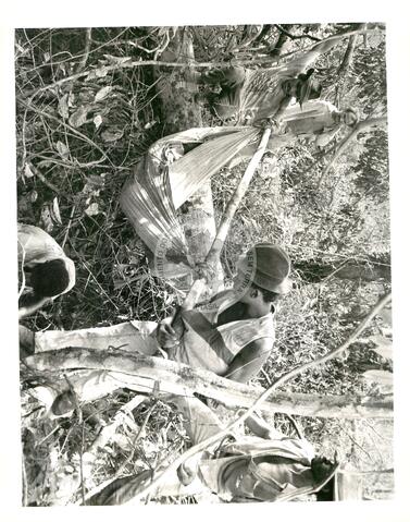 Original Objeto digital not accessible