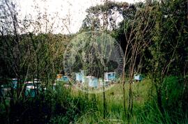 Inauguração da Rádio Comunitária (Itapeva-SP, 28 nov. 2008) [fotografia] / Fotógrafo(a) : Cláudio Foschieira. -- Ref.: BR-SPMST_MST-SN-CIN_AMP_000696-004092-ARV.