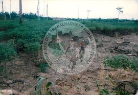 Produção no assentamento (Espírito Santo, fev. 1988) [fotografia] / Fotógrafo(a) : [sem autoria]. -- Ref.: BR-SPMST_MST-SN-CIN_AMP_001971-015104-PDU.