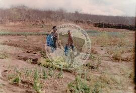 Assentamento "Vitória" do MST (Ceará, [sem data]) [fotografia] / Fotógrafo(a) : Arquivo MST ; Débora Lerrer. -- Ref.: BR-SPMST_MST-SN-CIN_AMP_000322-001562-ASS.