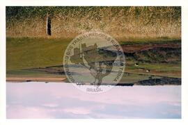 Cooperativa COAGRI (Cantagalo-PR, [sem data]) [fotografia] / Fotógrafo(a) : Arquivo MST. -- Ref.: BR-SPMST_MST-SN-CIN_AMP_001970-015084-PDU.