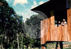 Assentamento "25 de Maio" do MST (Ponte Serrada-SC, fev. 1988) [fotografia] / Fotógrafo(a) : Arquivo MST. -- Ref.: BR-SPMST_MST-SN-CIN_AMP_000191-001359-ASS.