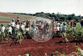 Assentamento "Fazenda Annoni" do MST (Júlio de Castilho-RS, Sarandi-RS, 1987 a 1993) [fotografia] / Fotógrafo(a) : Antonio C. Argemi ; Arquivo MST. -- Ref.: BR-SPMST_MST-SN-CIN_AMP_000175-001254-ASS.