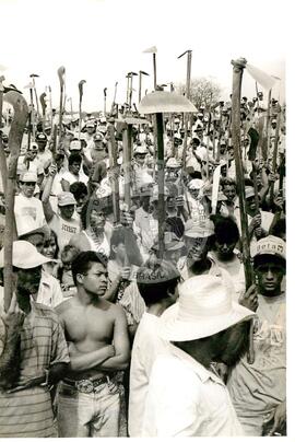 Ocupação Paranapoema (Paranapoema-PR, [sem data]) [fotografia] / Fotógrafo(a) : Débora Lerrer. -- Ref.: BR-SPMST_MST-SN-CIN_AMP_001893-014212-OCU.