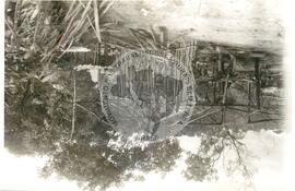 Escombros da ocupação da Fazenda Guanabara (Paraná, [sem data]) [fotografia] / Fotógrafo(a) : Carlos. -- Ref.: BR-SPMST_MST-SN-CIN_AMP_001760-012868-VPP.