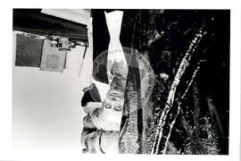 Silvio Dworecki (Mato Grosso do Sul, 29 set. 1998) [fotografia] / Fotógrafo(a) : Cecília Bastos. -- Ref.: BR-SPMST_MST-SN-CIN_AMP_001704-012727-PER.