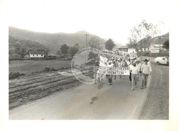 Original Digitaal object not accessible