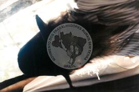 Curso de Militantes de Base do Conesul, 3o (Glória dos Dourados-MS, 02 a 05 mai.) [fotografia] / Fotógrafo(a) : Arquivo MST. -- Ref.: BR-SPMST_MST-SN-CIN_AMP_000860-005765-CUR.