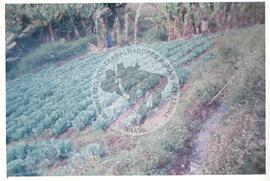 Intercâmbio com a UNAC (Moçambique, ago. 2000) [fotografia] / Fotógrafo(a) : Arquivo MST. -- Ref.: BR-SPMST_MST-SN-CIN_AMP_001092-008855-RIT.