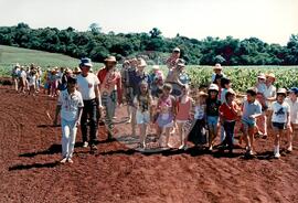 Assentamento "Fazenda Annoni" do MST (Júlio de Castilho-RS, Sarandi-RS, 1987 a 1993) [fotografia] / Fotógrafo(a) : Antonio C. Argemi ; Arquivo MST. -- Ref.: BR-SPMST_MST-SN-CIN_AMP_000175-001252-ASS.