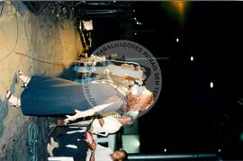 Entrega do resultado do plesbicito da ALCA atividades nacionais conjuntas (Distrito Federal (Brasil), 16 set. 2001) [fotografia] / Fotógrafo(a) : Gildo Aguiar. -- Ref.: BR-SPMST_MST-SN-CIN_AMP_000586-003294-AMT.