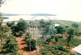 Assentamento "Nova Ronda Alta" (Rio Grande do Sul, [sem data]) [fotografia] / Fotógrafo(a) : Bernardo Fernandes ; Arquivo MST. -- Ref.: BR-SPMST_MST-SN-CIN_AMP_000184-001301-ASS.