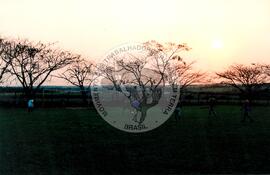 Cone Sul, 1o (Dourados-MS, set. 1998) [fotografia] / Fotógrafo(a) : Marcial G. Congo. -- Ref.: BR-SPMST_MST-SN-CIN_AMP_001160-010065-RIT.