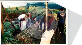 Tribunal Internacional dos Crimes do Latifúndio e da Política Governamental de Violação dos Direitos Humanos (Curitiba-PR, 02 mai. 2001) [fotografia] / Fotógrafo(a) : Douglas Mansur. -- Ref.: BR-SPMST_MST-SN-CIN_AMP_000135-001008-ACS.