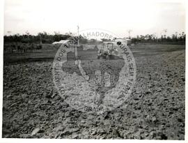 Assentamento do MST [sem identificação] (São Mateus-ES, set. 1990) [fotografia] / Fotógrafo(a) : Ana Justo. -- Ref.: BR-SPMST_MST-SN-CIN_AMP_000329-001582-ASS.