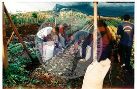 Tribunal Internacional dos Crimes do Latifúndio e da Política Governamental de Violação dos Direitos Humanos (Curitiba-PR, 02 mai. 2001) [fotografia] / Fotógrafo(a) : Douglas Mansur. -- Ref.: BR-SPMST_MST-SN-CIN_AMP_000135-001004-ACS.