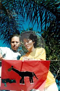 Original Digitaal object not accessible