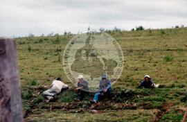 Inauguração da Rádio Comunitária (Itapeva-SP, 28 nov. 2008) [fotografia] / Fotógrafo(a) : Cláudio Foschieira. -- Ref.: BR-SPMST_MST-SN-CIN_AMP_000696-004076-ARV.
