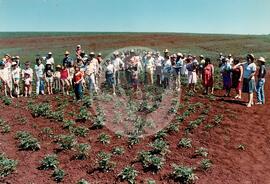 Assentamento "Fazenda Annoni" do MST (Júlio de Castilho-RS, Sarandi-RS, 1987 a 1993) [fotografia] / Fotógrafo(a) : Antonio C. Argemi ; Arquivo MST. -- Ref.: BR-SPMST_MST-SN-CIN_AMP_000175-001251-ASS.
