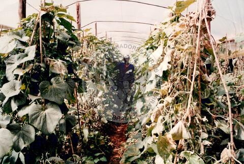 Original Document numérique not accessible