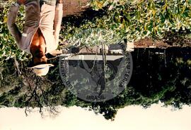 Assentamento "25 de Maio" do MST (Ponte Serrada-SC, fev. 1988) [fotografia] / Fotógrafo(a) : Arquivo MST. -- Ref.: BR-SPMST_MST-SN-CIN_AMP_000191-001366-ASS.