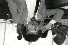 Sérgio Cruz (Mato Grosso do Sul, [sem data]) [fotografia] / Fotógrafo(a) : Eni Nantes Cruz ; Eduardo Tavares ; Eron Zanata ; Sergio Canova. -- Ref.: BR-SPMST_MST-SN-CIN_AMP_001702-012708-PER.